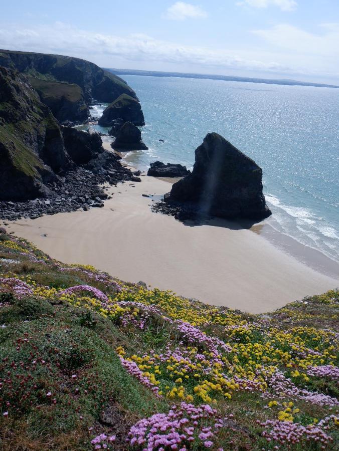 Polrunny Farm Blackberry Cottage - Cornwall Bliss In Sight Of The Sea ボスキャッスル エクステリア 写真