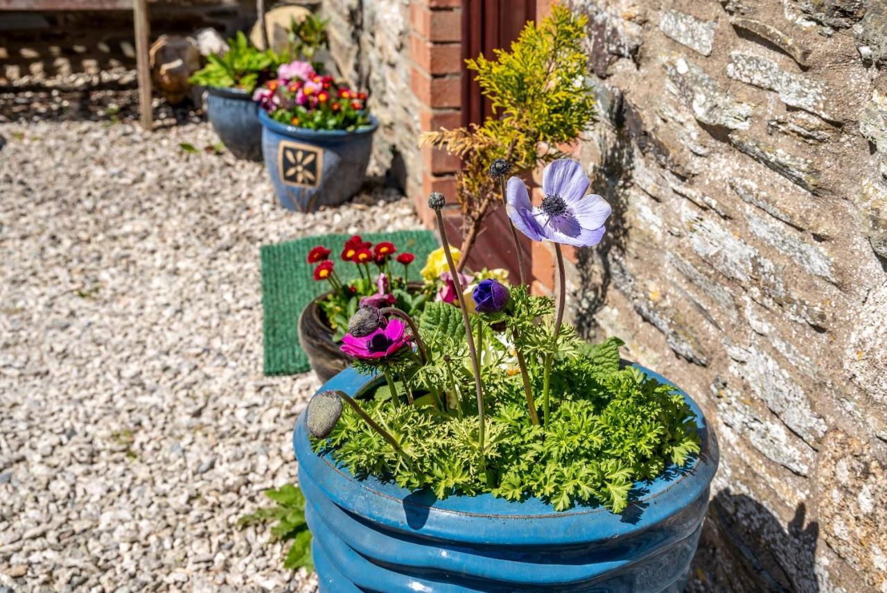 Polrunny Farm Blackberry Cottage - Cornwall Bliss In Sight Of The Sea ボスキャッスル エクステリア 写真