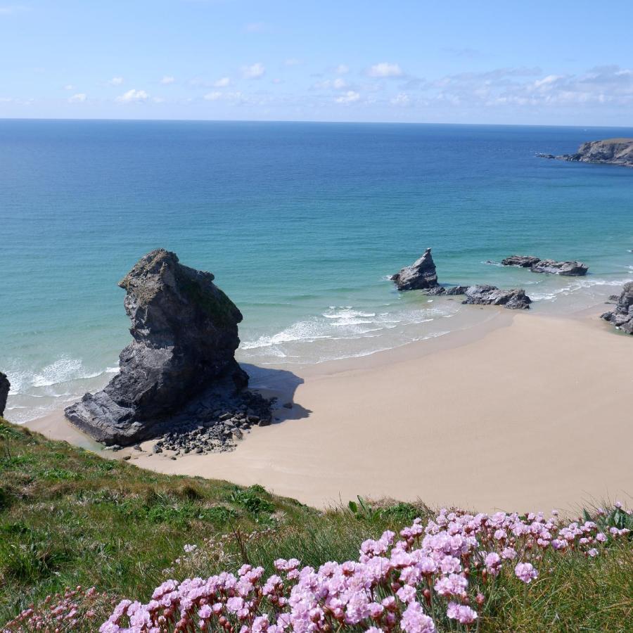 Polrunny Farm Blackberry Cottage - Cornwall Bliss In Sight Of The Sea ボスキャッスル エクステリア 写真