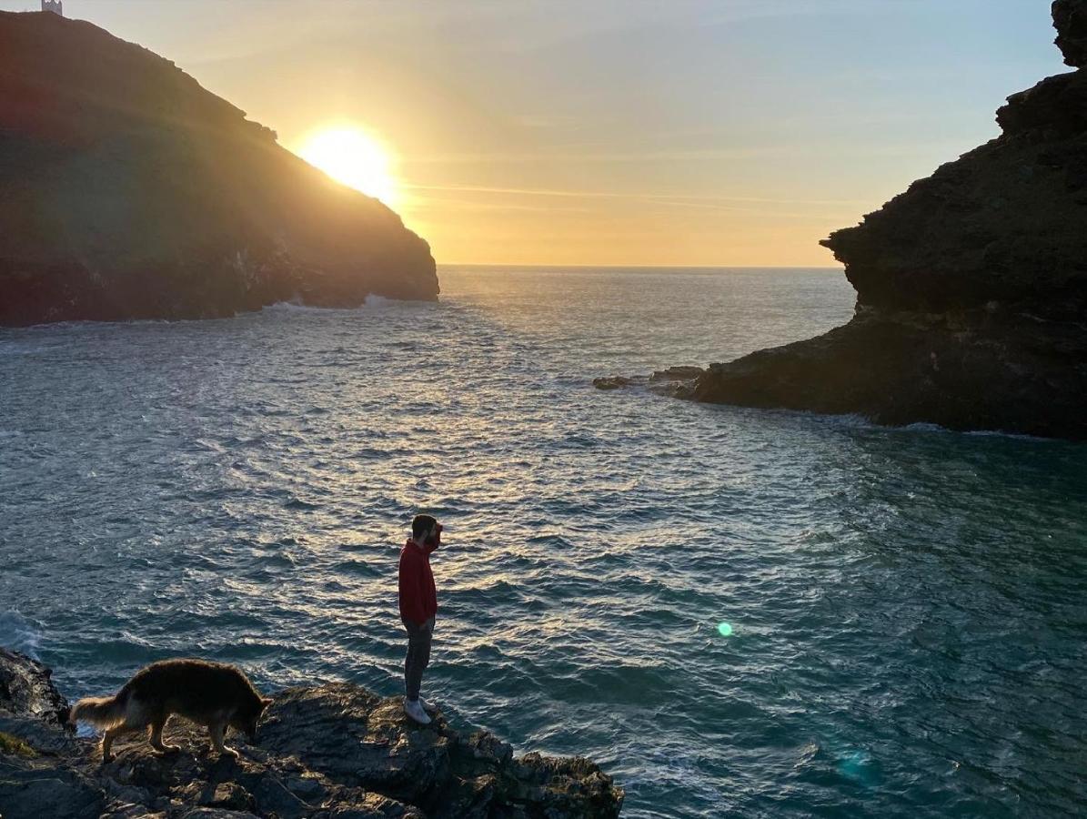 Polrunny Farm Blackberry Cottage - Cornwall Bliss In Sight Of The Sea ボスキャッスル エクステリア 写真