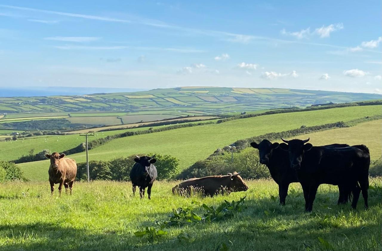 Polrunny Farm Blackberry Cottage - Cornwall Bliss In Sight Of The Sea ボスキャッスル エクステリア 写真