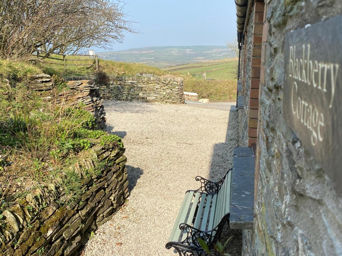Polrunny Farm Blackberry Cottage - Cornwall Bliss In Sight Of The Sea ボスキャッスル エクステリア 写真