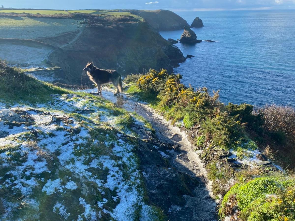 Polrunny Farm Blackberry Cottage - Cornwall Bliss In Sight Of The Sea ボスキャッスル エクステリア 写真